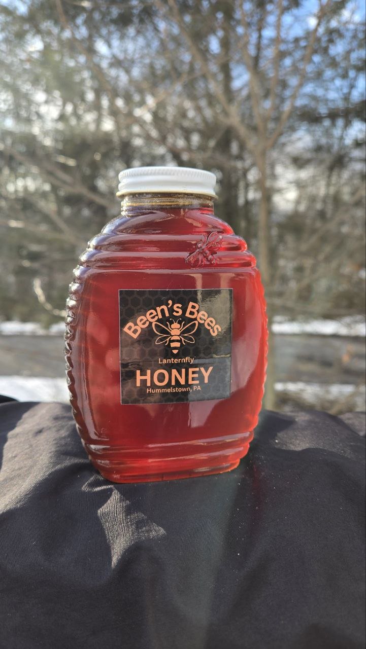 Lanternfly Honey