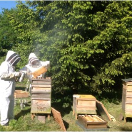 Personalized Curriculum