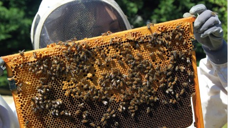 Full Mentorship Package